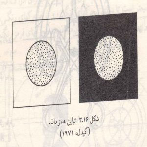 تباین-همزمان-300x300 تباین-همزمان-300x300 دستگاه بینایی دستگاه بینایی دستگاه بینایی 300x300