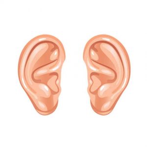 دریافت-ارتعاشات-صوتی-توسط-گوش-درونی-300x300 دریافت-ارتعاشات-صوتی-توسط-گوش-درونی-300x300 دریافت ارتعاشات صوتی توسط گوش درونی دریافت ارتعاشات صوتی توسط گوش درونی دریافت ارتعاشات صوتی توسط گوش درونی 300x300