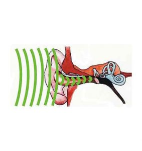 عصب-شنوایی-و-راه-های-آن-283x300 عصب-شنوایی-و-راه-های-آن-283x300 عصب شنوایی و راه های آن عصب شنوایی و راه های آن عصب شنوایی و راه های آن 283x300