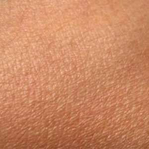 انوع-گیرنده-های-سطح-پوست-300x300 انوع-گیرنده-های-سطح-پوست-300x300 گیرنده های تماسی، فشاری و ... انواع گیرنده های سطح پوست انواع گیرنده های سطح پوست 300x300