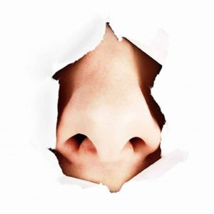 حس-بویایی-300x300 حس-بویایی-300x300 حس بویایی حس بویایی حس بویایی 300x300