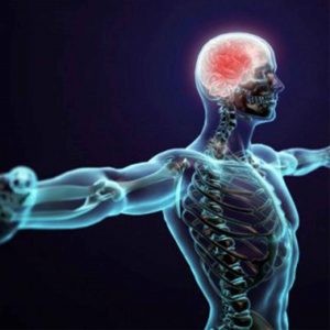 سازمان-و-تشکل-ادراکی-300x300 سازمان-و-تشکل-ادراکی-300x300 سازمان و تشکل ادراکی سازمان و تشکل ادراکی سازمان و تشکل ادراکی 300x300